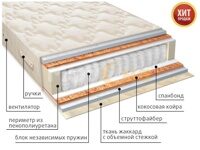 МУЛЬТИ СТРУТТО ПЛЮС  TFK