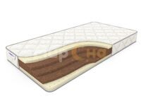 Orto Soft (Орто Софт)