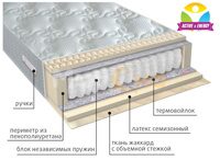 АКТИВ /Вега