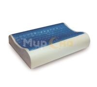 TECHNOAQUAGEL ERGO  66x41x11